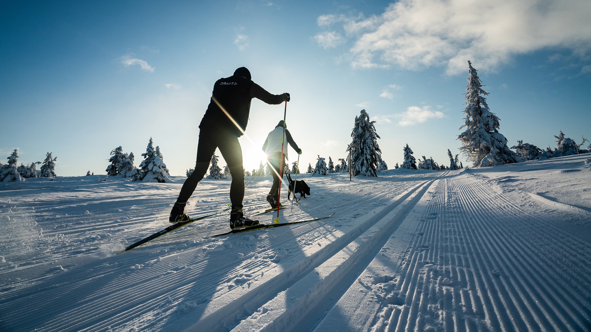 Skigruppa treningstider 2024/2025